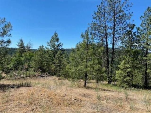 0 Scoop Mountain Road Springdale, WA 99173 - Photo 5 of 19
