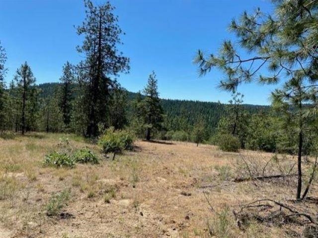 0 Scoop Mountain Road Springdale, WA 99173 - Photo 7 of 19