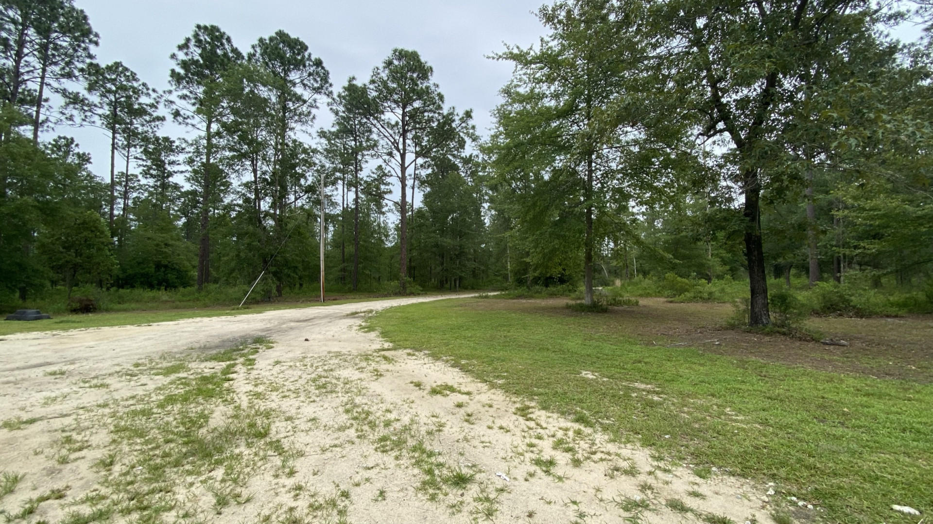 2384 Fire Hill Road Walterboro, SC 29488 - Photo 35 of 43 2384FireHillRd_16269_36