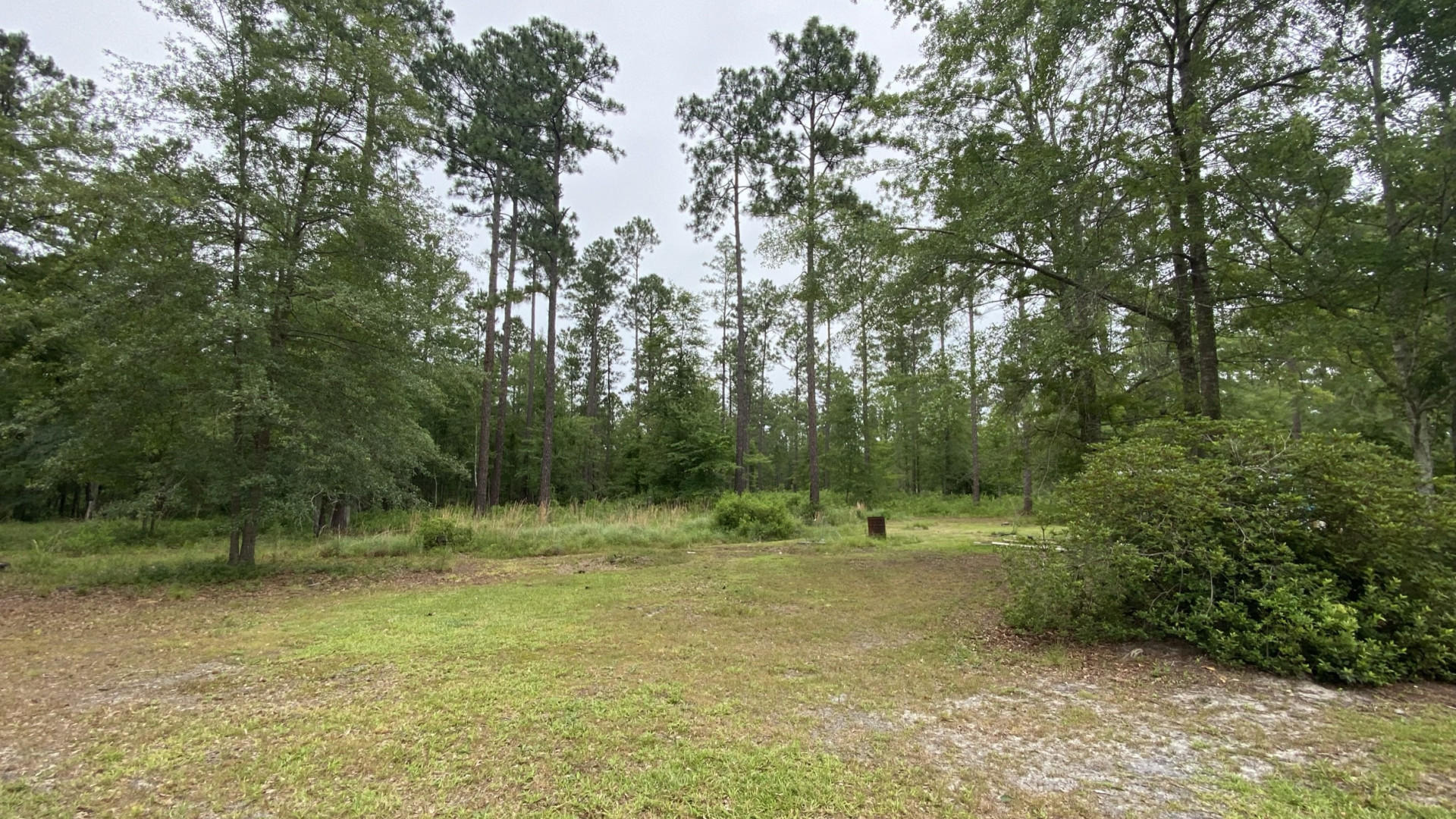 2384 Fire Hill Road Walterboro, SC 29488 - Photo 41 of 43 2384FireHillRd_16269_42