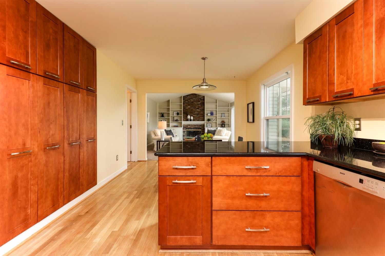 4099 Ramsgate Court Ann Arbor, MI 48103 - Photo 8 of 65 Photo 10
