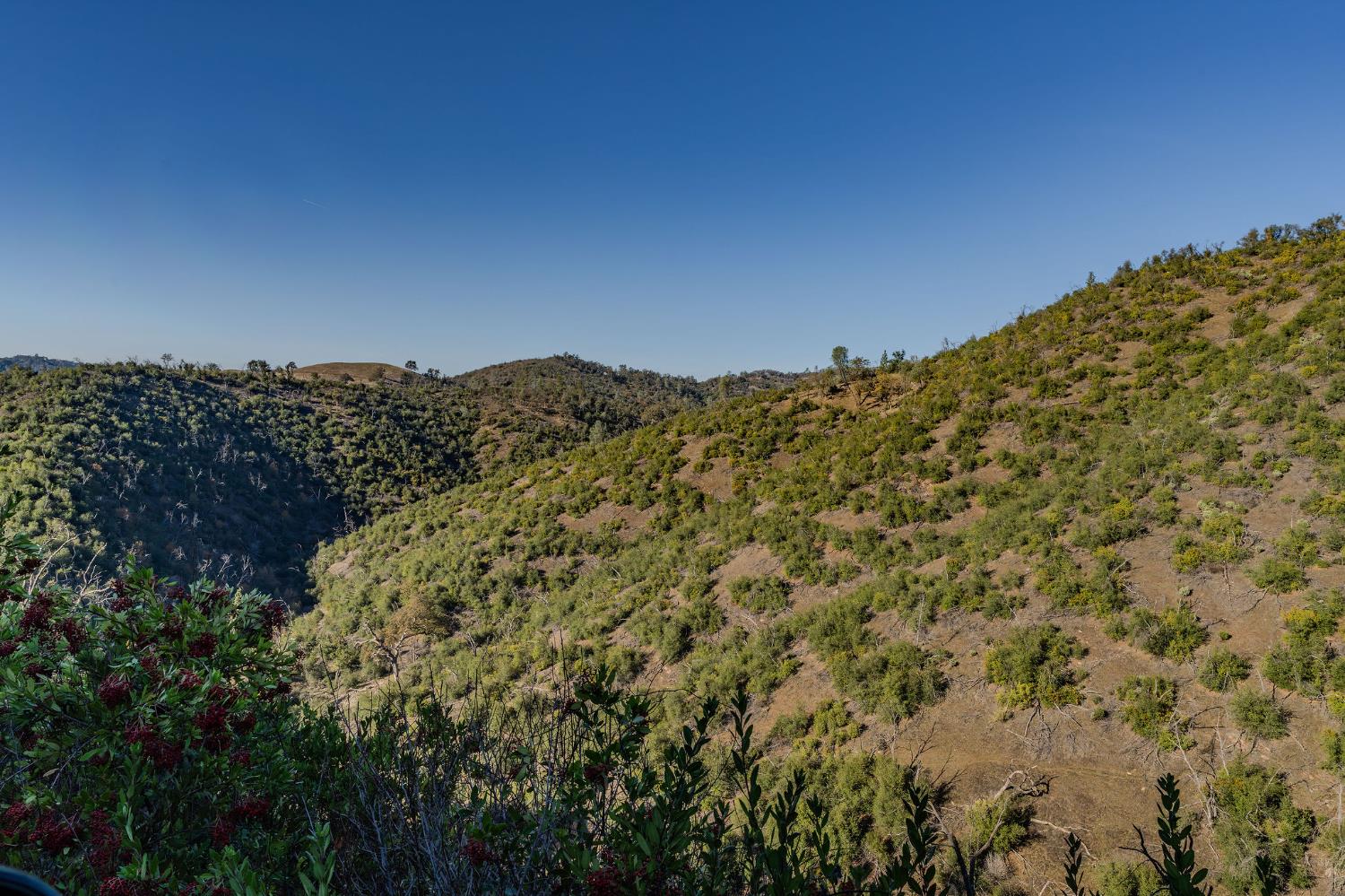 71 Hawver Road San Andreas, CA 95249 - Photo 27 of 96
