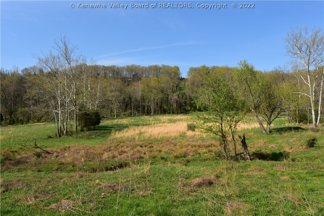 0 Ripley Road Cottageville, WV 25239 - Photo 20 of 26 Gallery Image 20