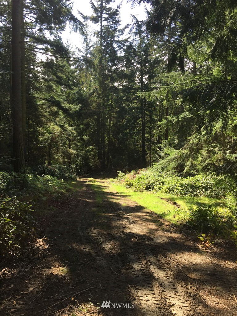 15617 Wanamaker Road Coupeville, WA 98239 - Photo 1 of 9 Gallery Image 1