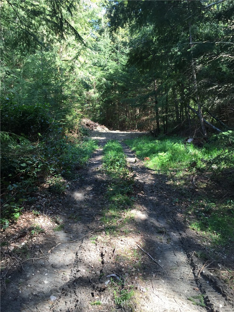 15617 Wanamaker Road Coupeville, WA 98239 - Photo 2 of 9 Gallery Image 2
