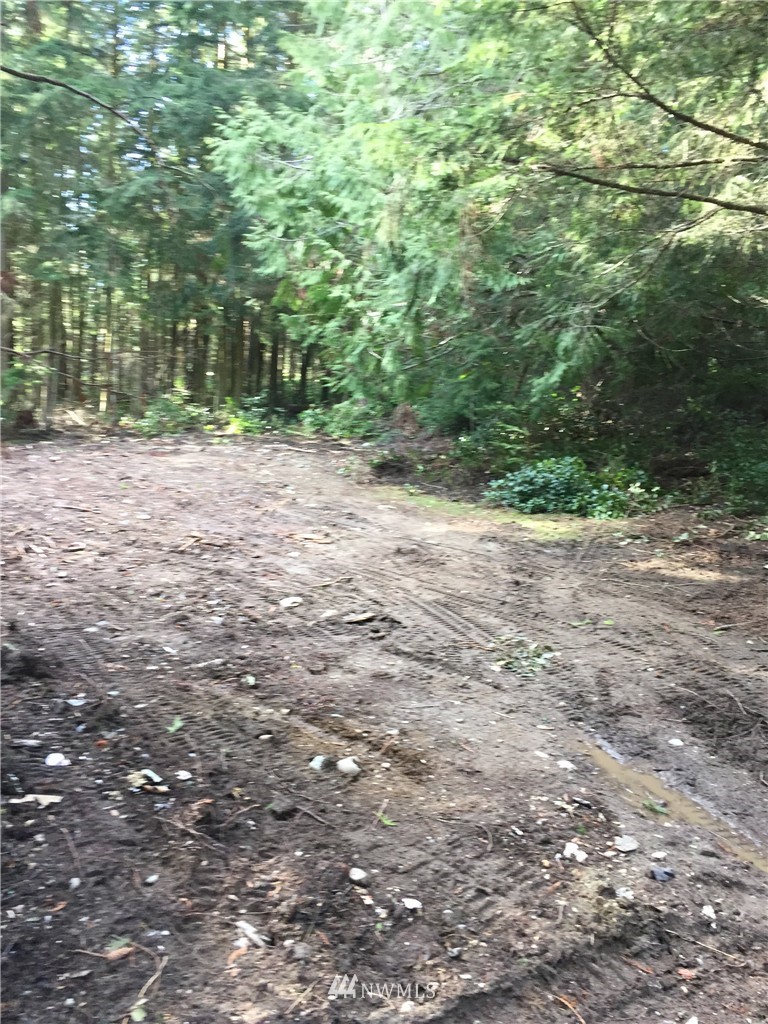 15617 Wanamaker Road Coupeville, WA 98239 - Photo 5 of 9 Gallery Image 5