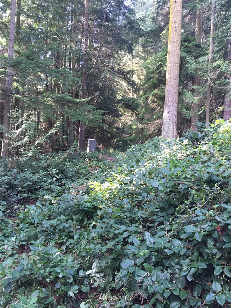 15617 Wanamaker Road Coupeville, WA 98239 - Photo 8 of 9 Gallery Image 8