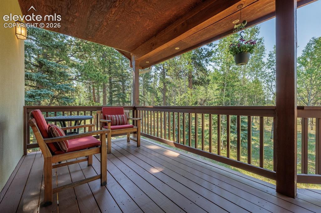 392 Aspen Village Road Divide, CO 80814 - Photo 19 of 43