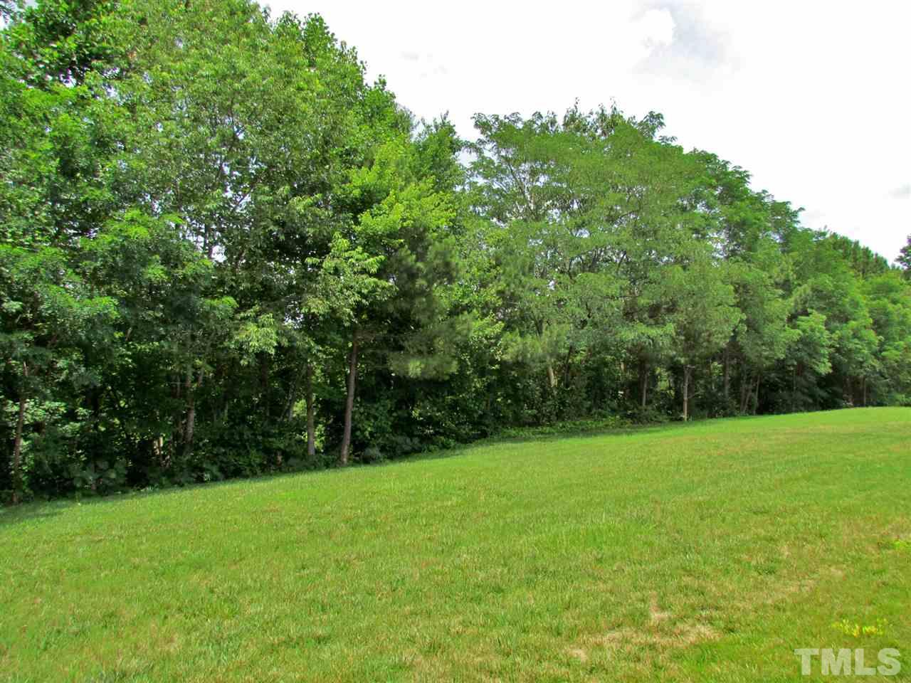 2700 Andover Glen Road Raleigh, NC 27604 - Photo 22 of 25 a view of a green yard