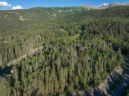 a view of a lush green hillside and a mountain