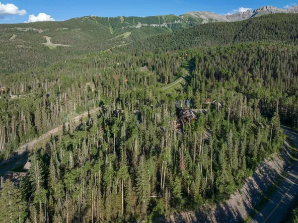 a view of a lush green hillside and a mountain