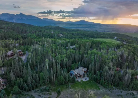 a view of a lush green hillside and a houses