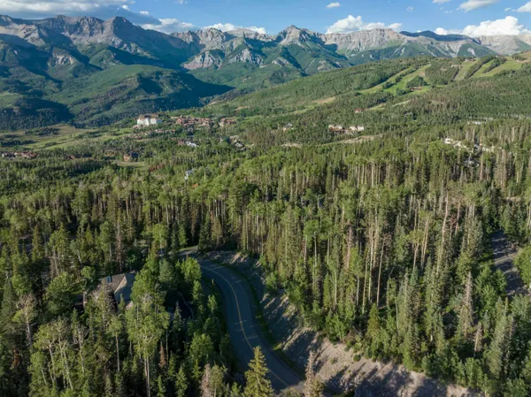 a view of a forest with a lush green forest