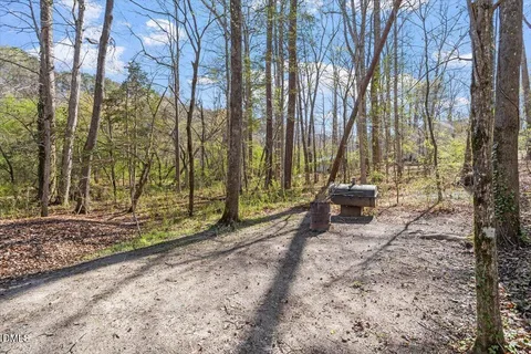 a view of a backyard with large trees
