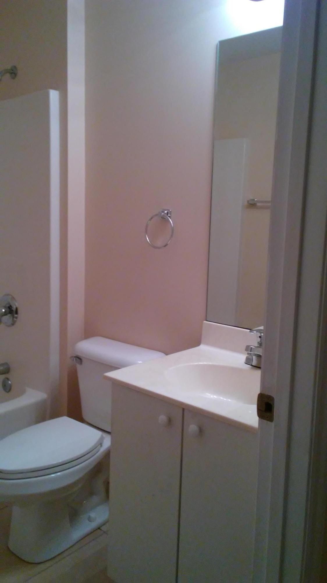 832 Southwest Duncan Terrace Port St. Lucie, FL 34953 - Photo 22 of 37 a bathroom with a sink a toilet and a mirror