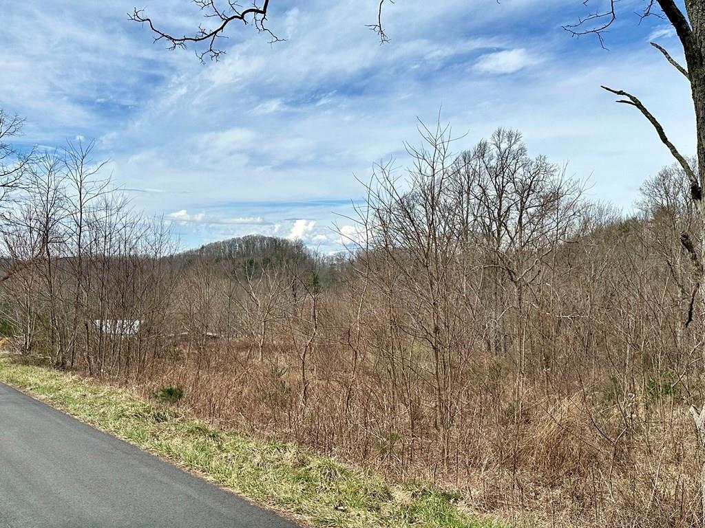 Tbd Mill Creek Road, Unit 2 Chilhowie, VA 24319 - Photo 1 of 19 Gallery Image 1