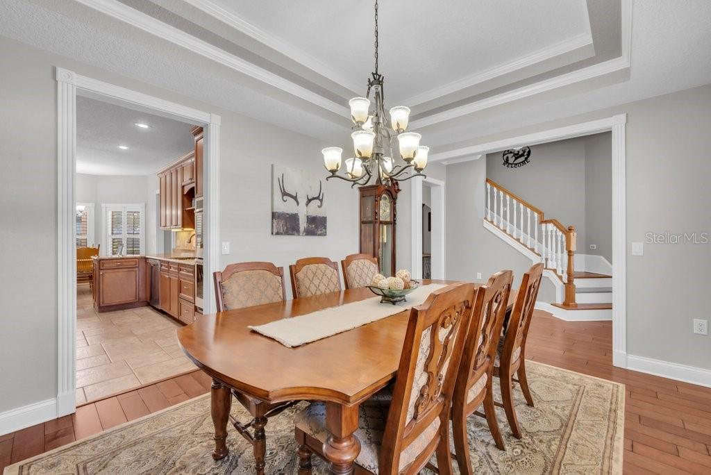 3916 Powerline Road Lithia, FL 33547 - Photo 11 of 66