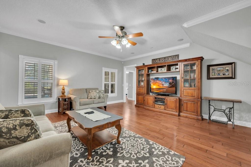 3916 Powerline Road Lithia, FL 33547 - Photo 21 of 66