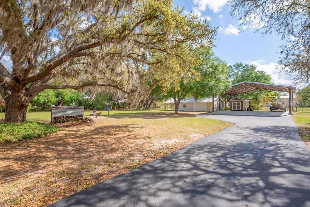 3916 Powerline Road Lithia, FL 33547 - Photo 48 of 66