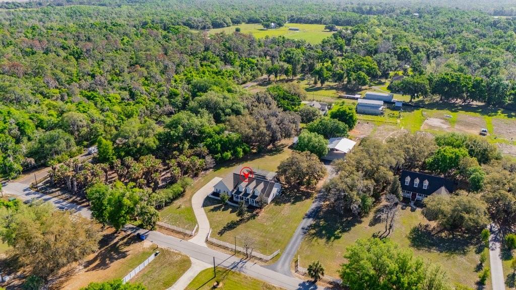 3916 Powerline Road Lithia, FL 33547 - Photo 57 of 66