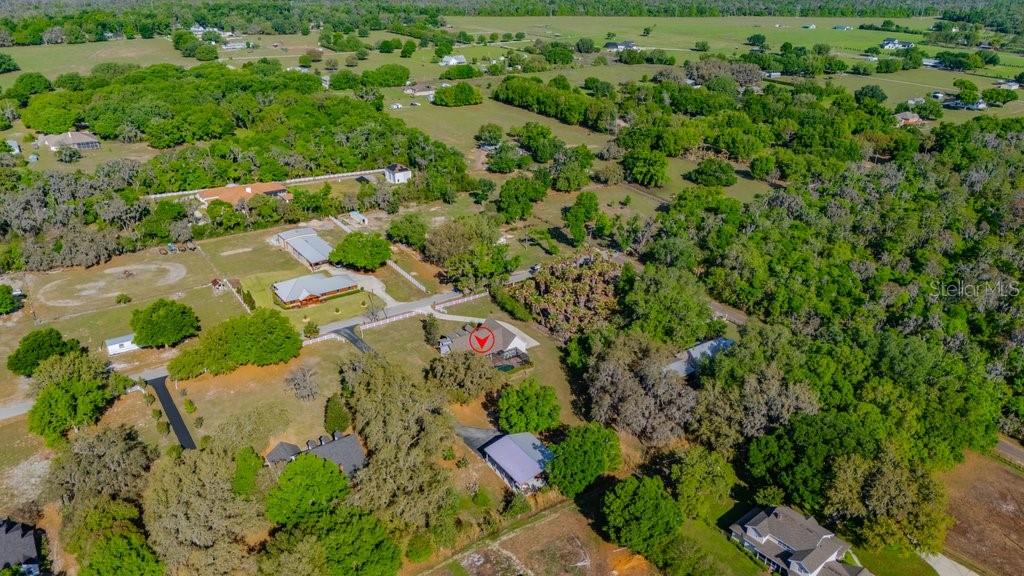 3916 Powerline Road Lithia, FL 33547 - Photo 58 of 66