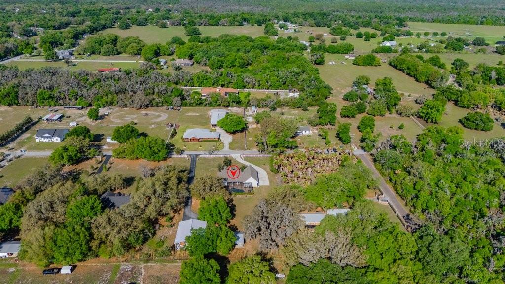 3916 Powerline Road Lithia, FL 33547 - Photo 59 of 66