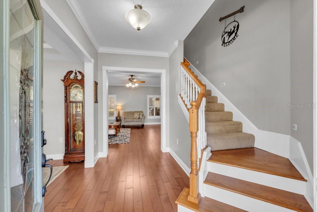 3916 Powerline Road Lithia, FL 33547 - Photo 8 of 66