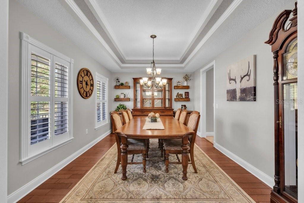 3916 Powerline Road Lithia, FL 33547 - Photo 10 of 66