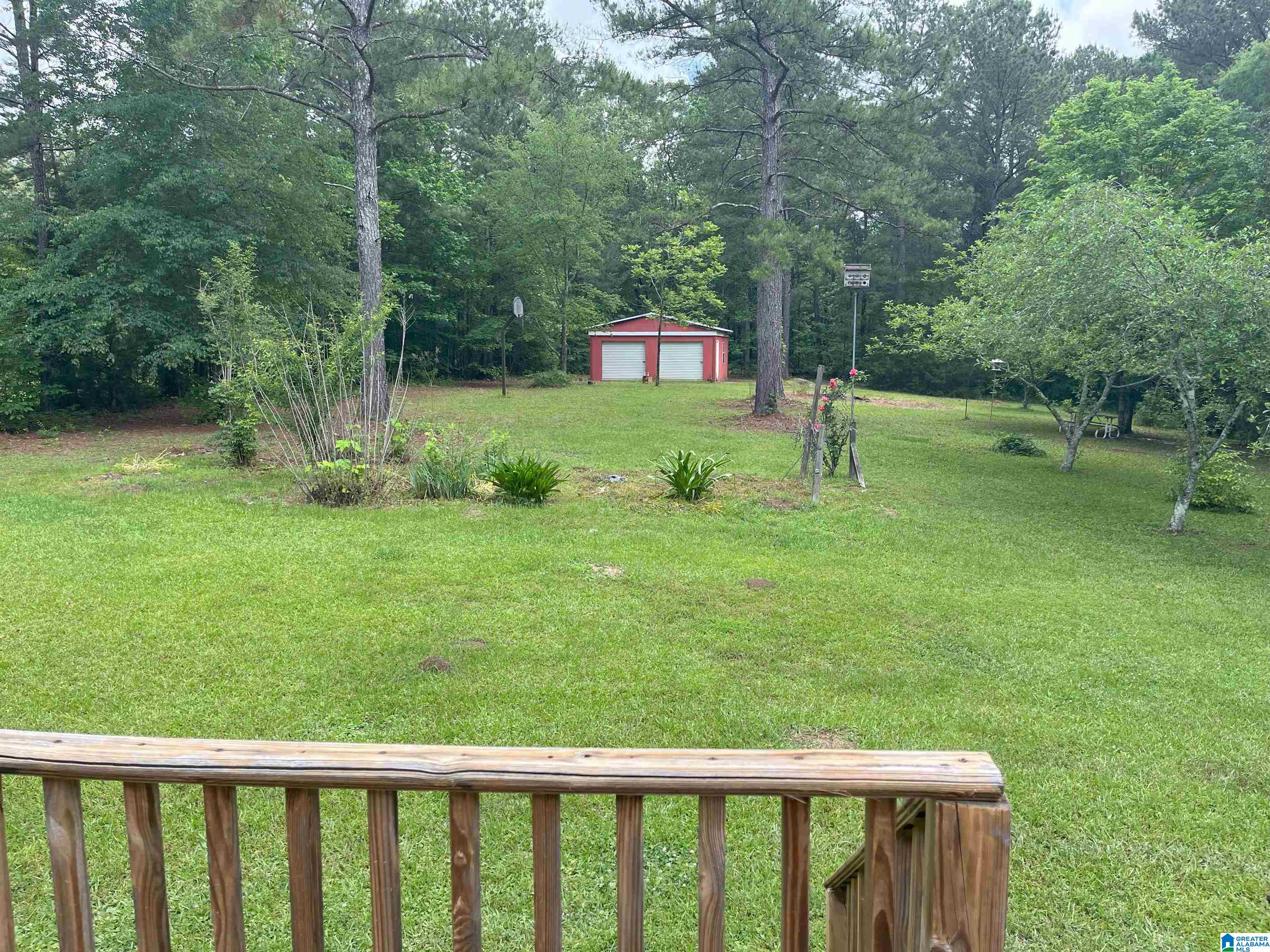 252 Timber Trail Ashville, AL 35953 - Photo 4 of 18