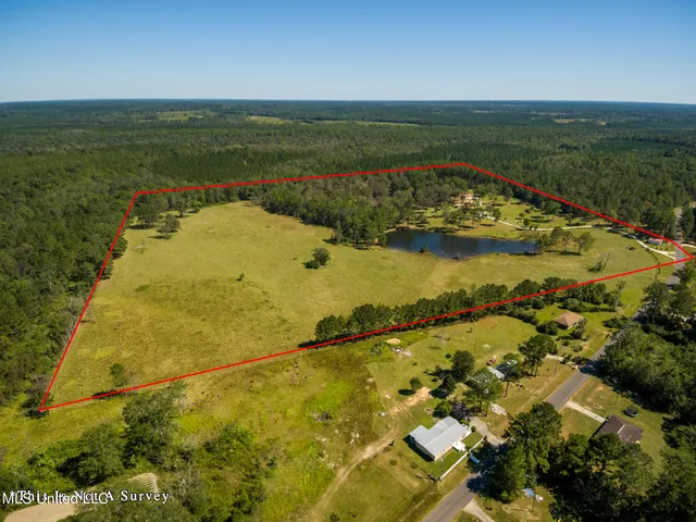 $675,000 | 114 East T Poole Road, Poplarville, MS 39470