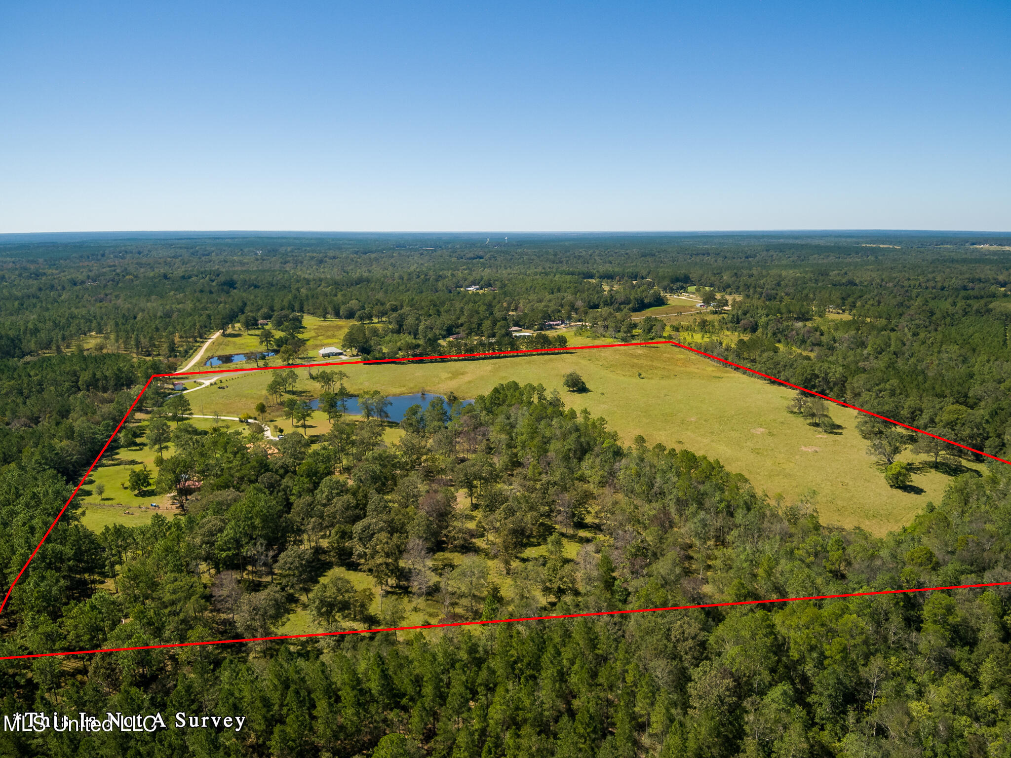 114 East T Poole Road Poplarville, MS 39470 - Photo 44 of 45 Aerial 4