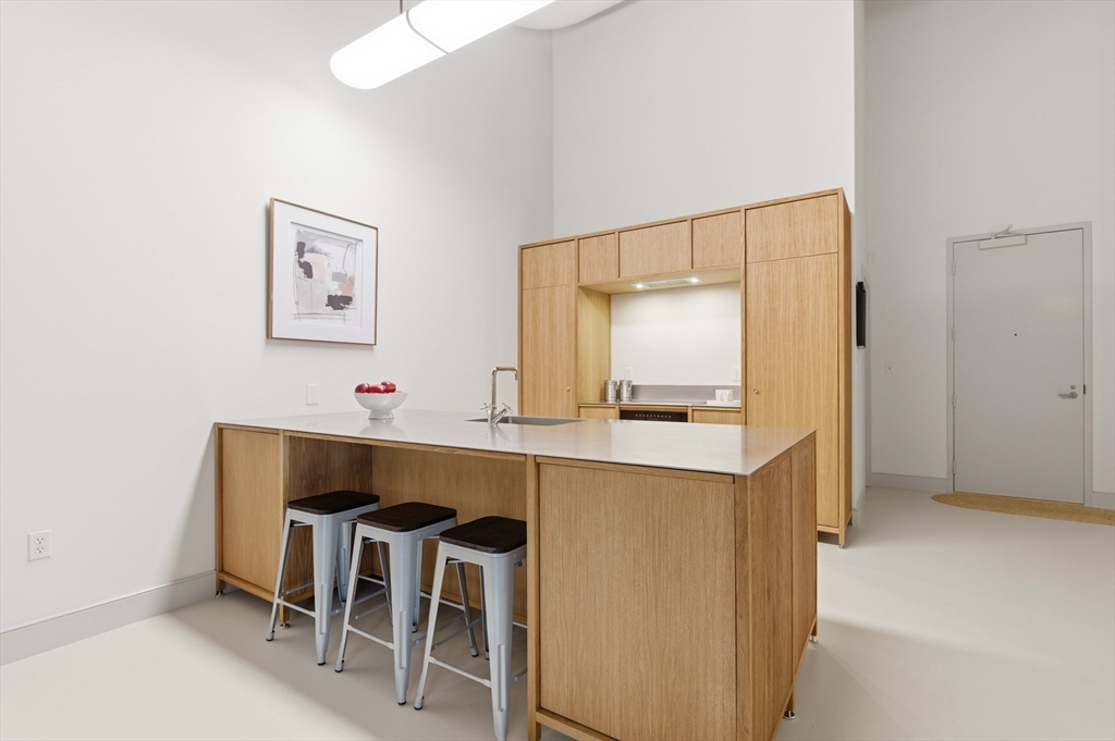 251 Heath Street, Unit 110 Boston, MA 02130 - Photo 10 of 34