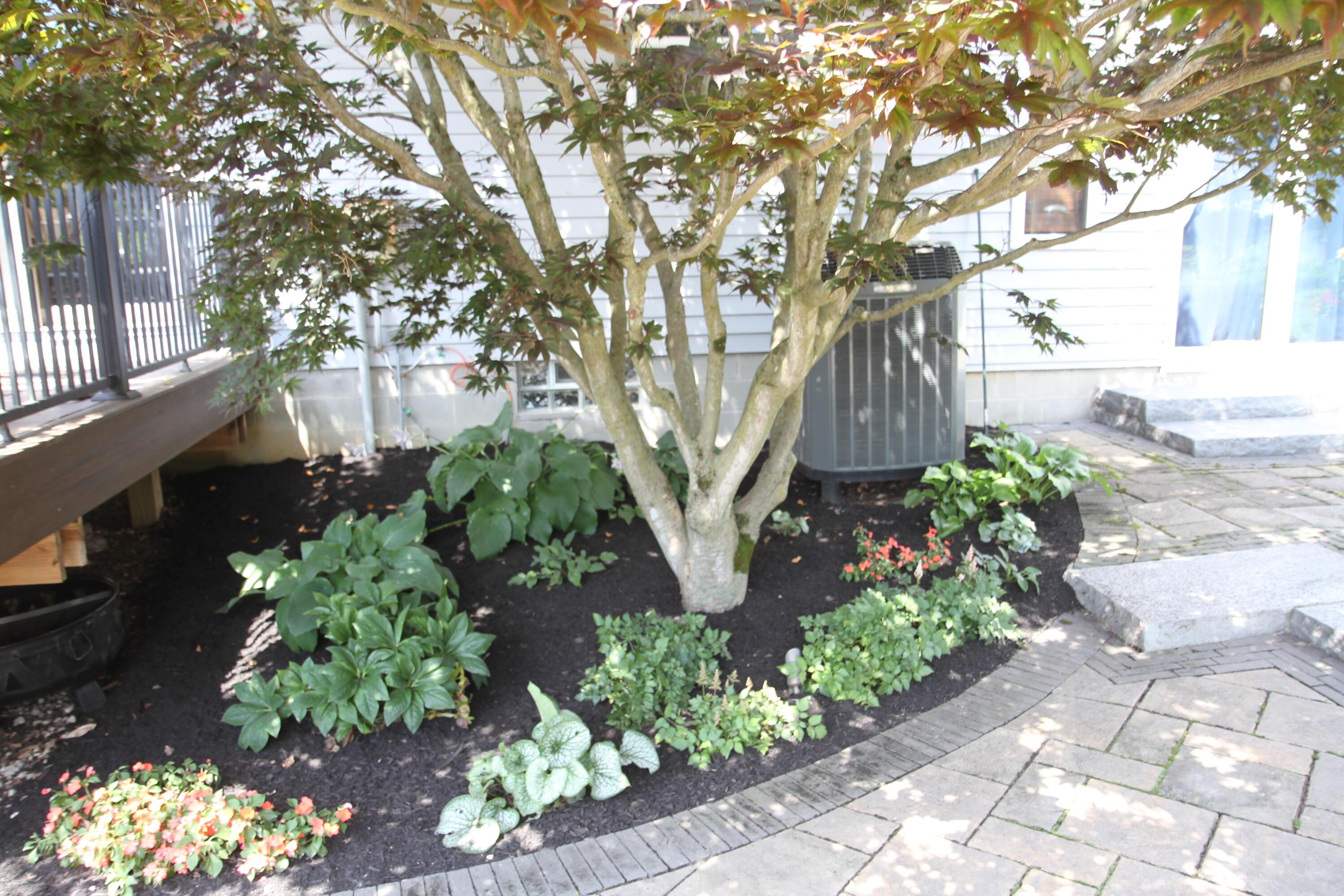 3771 Newhouse Road Ostrander, OH 43061 - Photo 29 of 62 IMG_7013