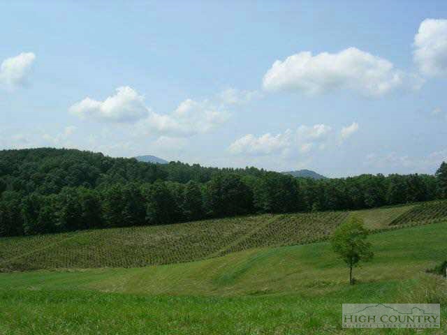 * Severt Road West Jefferson, NC 28694 - Photo 1 of 1 Gallery Image 1