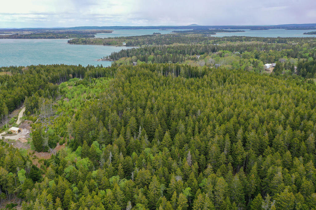 22-2 Eaton Point Road Deer Isle, ME 04627 - Photo 10 of 26 Eaton Point Land