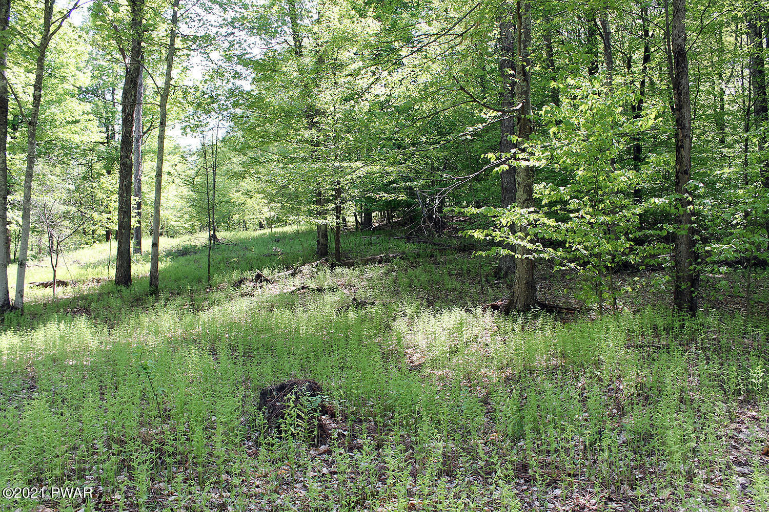 2 Robbs Road Damascus, PA 18415 - Photo 8 of 15