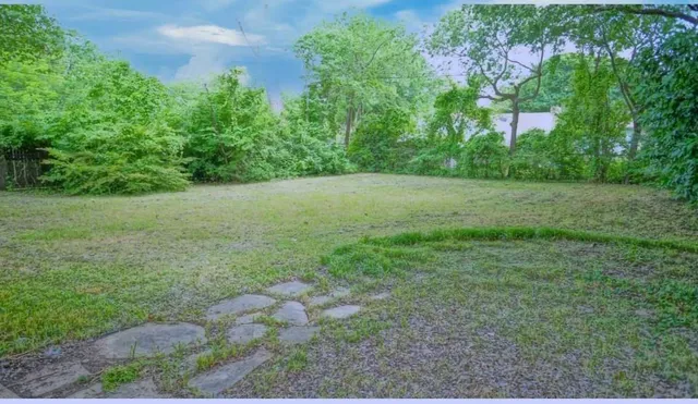a view of a big yard with large trees