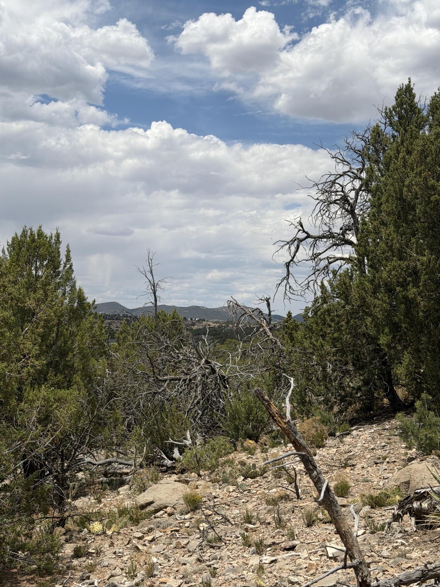 0 County Line Road Edgewood, NM 87015 - Photo 10 of 20 Gallery Image 10