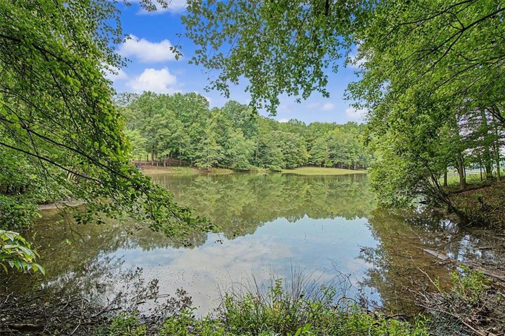 590 South Alexander Creek Road Newnan, GA 30263 - Photo 48 of 52 Gallery Image 48
