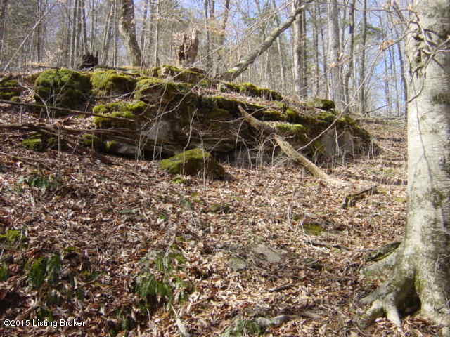 0 South End Road Greensburg, KY 42743 - Photo 5 of 12 116.JPG