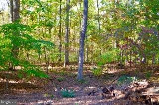 1340 Pine Road Carlisle, PA 17015 - Photo 25 of 31 Gallery Image 25