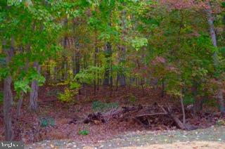 1340 Pine Road Carlisle, PA 17015 - Photo 27 of 31 Gallery Image 27