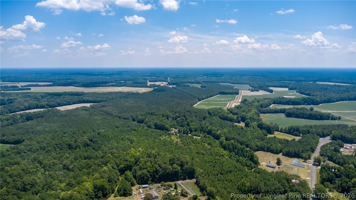 422 Drye Road Council, NC 28434 - Photo 9 of 9