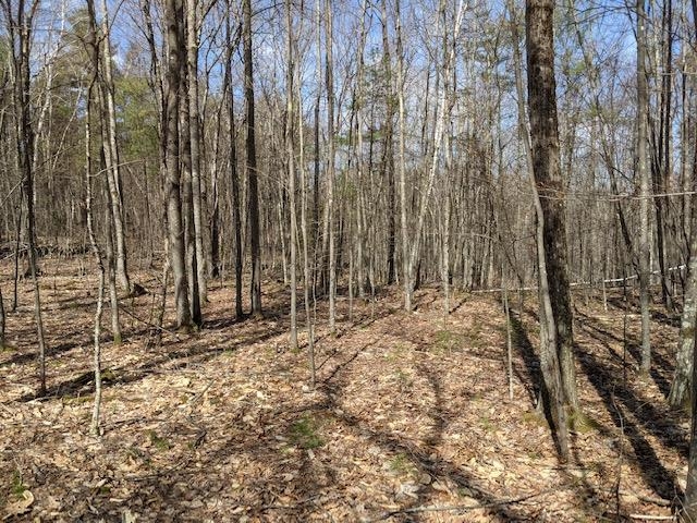 Lot 4-164 Mason Road, Unit 4 Milton, NH 03851 - Photo 2 of 12 Gallery Image 2
