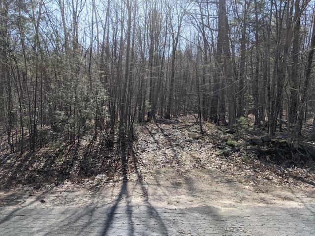 Lot 4-164 Mason Road, Unit 4 Milton, NH 03851 - Photo 11 of 12 Gallery Image 11