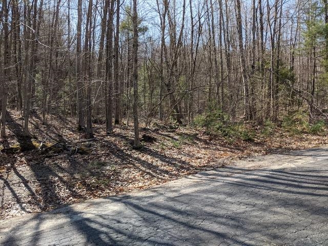 Lot 4-164 Mason Road, Unit 4 Milton, NH 03851 - Photo 12 of 12 Gallery Image 12