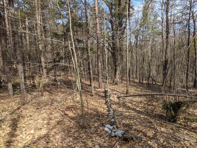 Lot 4-164 Mason Road, Unit 4 Milton, NH 03851 - Photo 3 of 12 Gallery Image 3