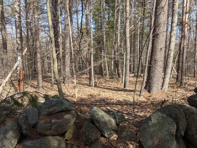 Lot 4-164 Mason Road, Unit 4 Milton, NH 03851 - Photo 5 of 12 Gallery Image 5