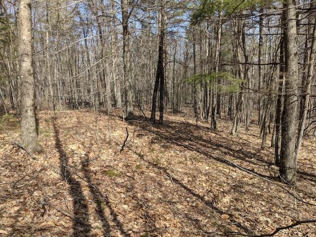 Lot 4-164 Mason Road, Unit 4 Milton, NH 03851 - Photo 6 of 12 Gallery Image 6