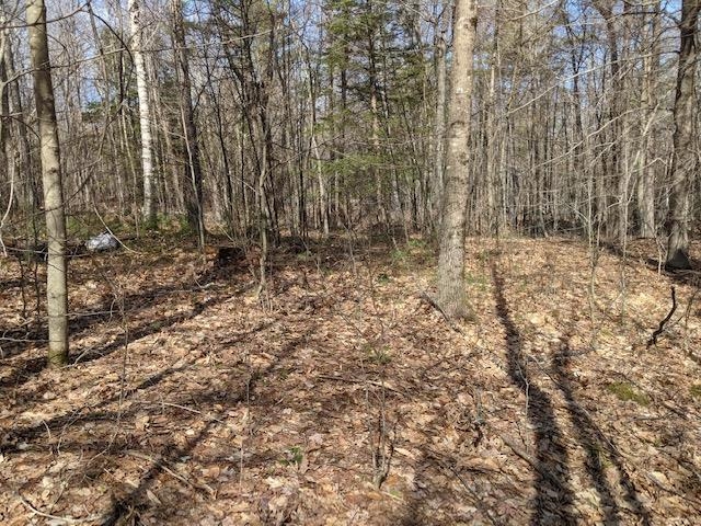 Lot 4-164 Mason Road, Unit 4 Milton, NH 03851 - Photo 7 of 12 Gallery Image 7